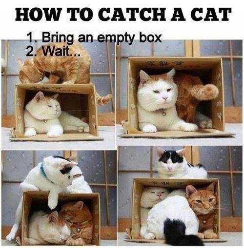 Funny-Bring-Empty-Box Funny Bring Empty