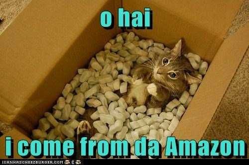 Funny-Come-Cat-Amazon Funny Amazon Memes Pet Delivery