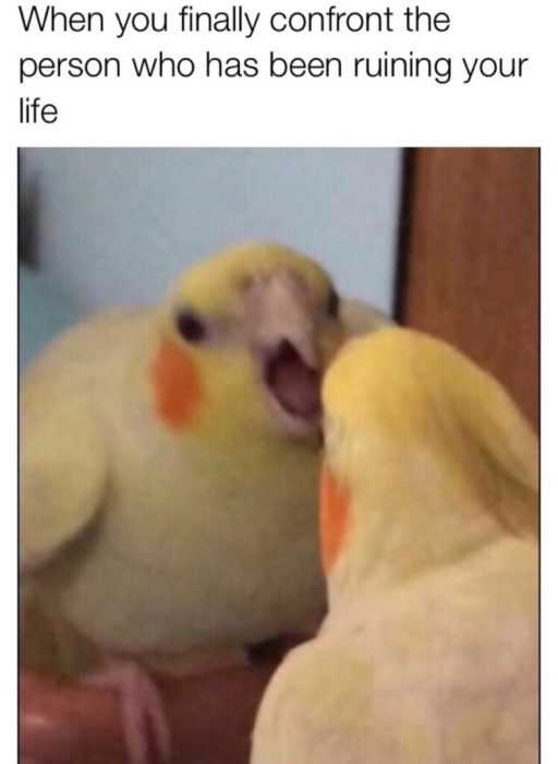 Funny Confront Person
