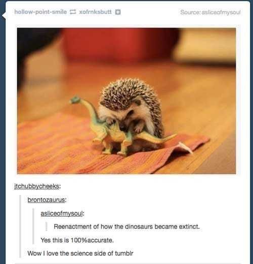 Funny-Dino-Extinct Funny Dino