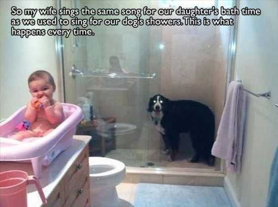 Funny-Dog-Time Funny Dog Time
