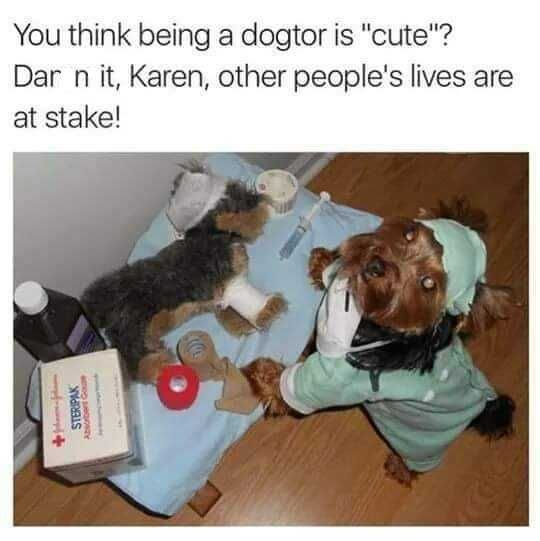 Funny-Dogtor Funny Dogtor
