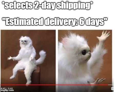Funny-Estimated-Delivery Funny Amazon Memes Amazon 2 Day Shipping