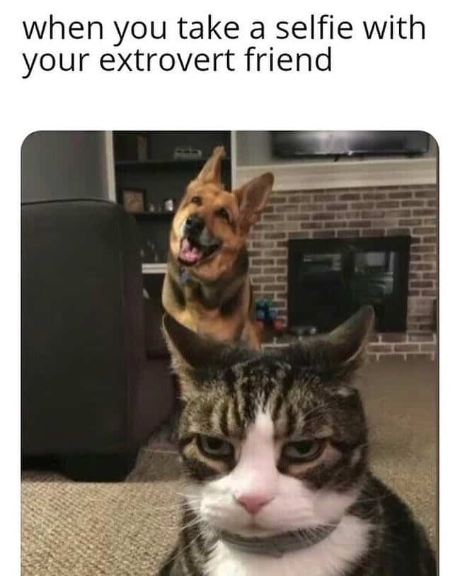 Funny