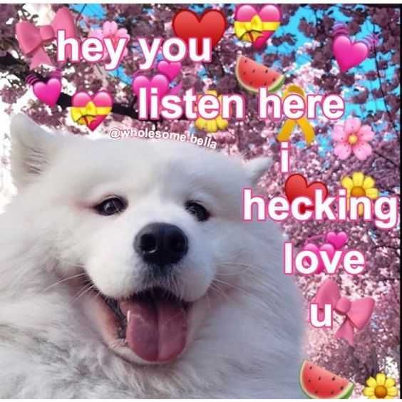 Funny-Hecking-You Funny Hecking You