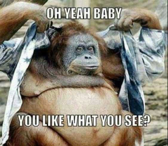 Funny-Hey-Baby Funny Hey Baby