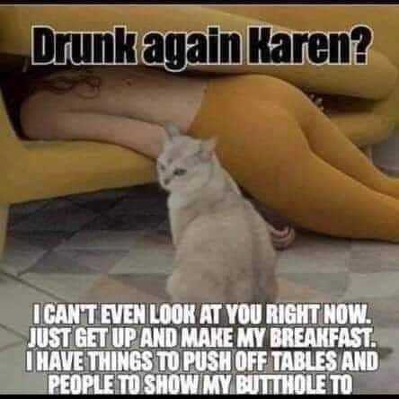 Funny Just Get Up