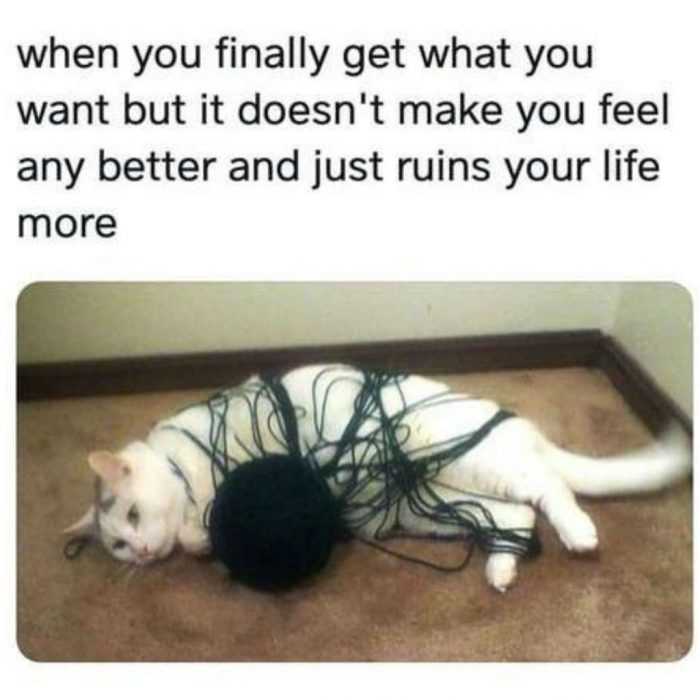 Funny Just Ruins Your Life