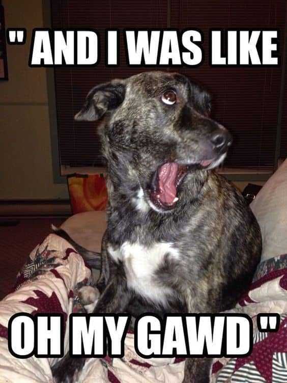 Funny-Like-Omg Funny Like Omg