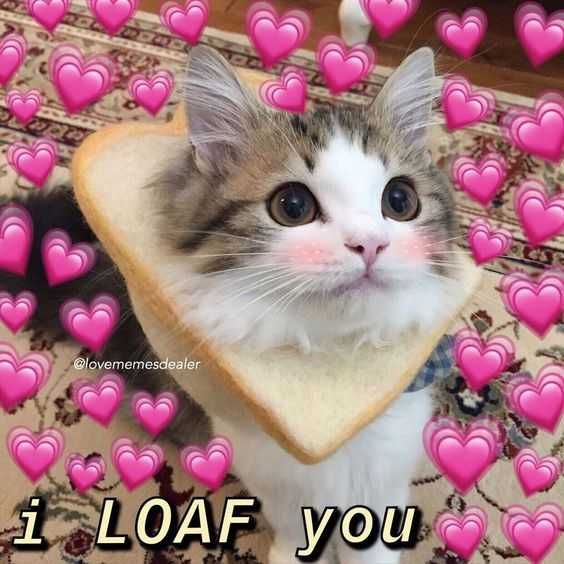 Funny-Loaf-You Funny Loaf You