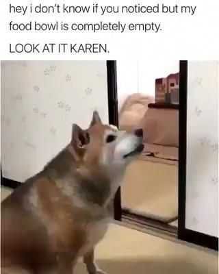 Funny-Look-At-It-Karen Funny Look At It Karen