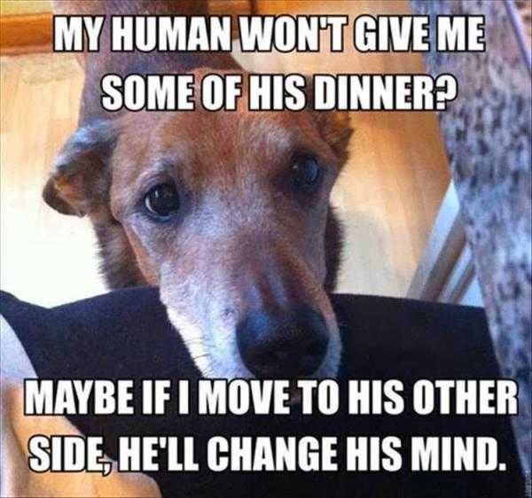 Funny Maybe Move
