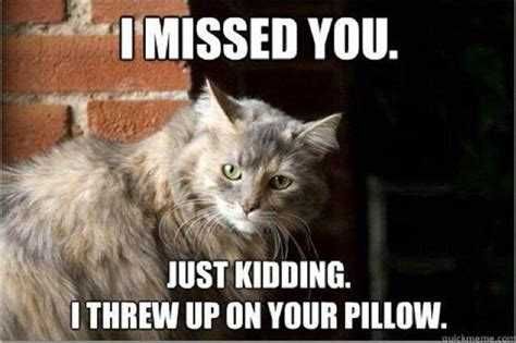 Funny-Missed-You-Threw Funny Missed You Threw