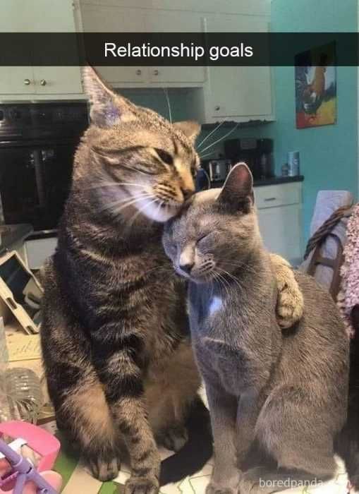 Funny-Mom-Hug Funny Mom Hug