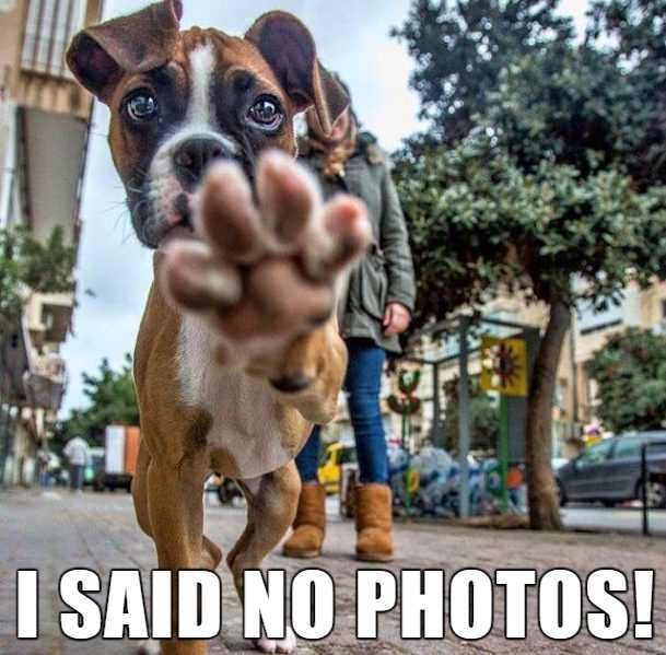 Funny-No-Photos Funny No Photos