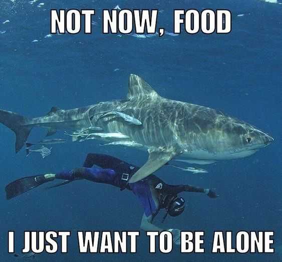 Funny-Not-Now-Food Funny Not Now Food