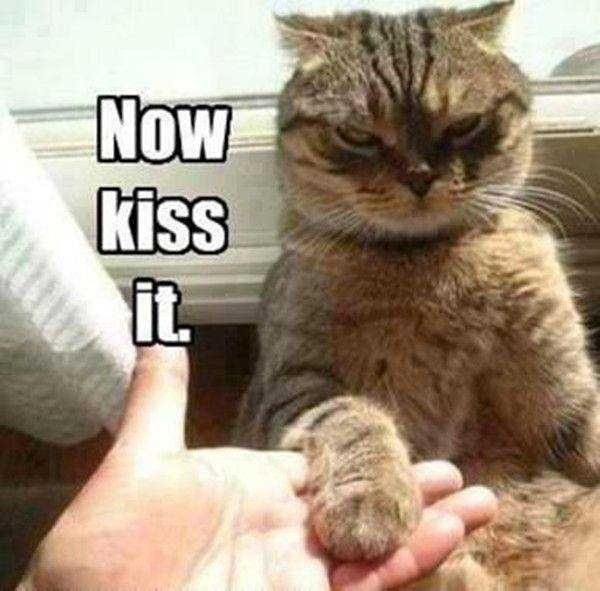 Funny-Now-Kiss-It Funny Now Kiss It