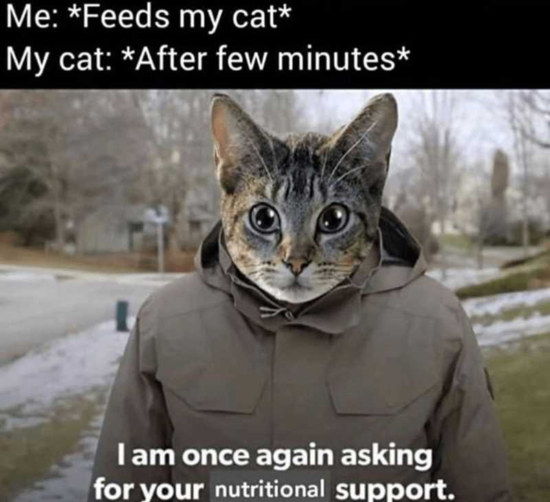Funny Nutritional Support