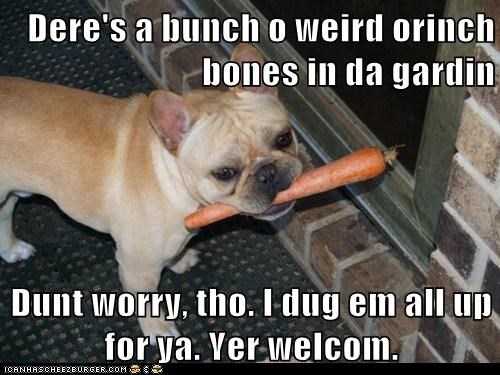 Funny Orange Bones