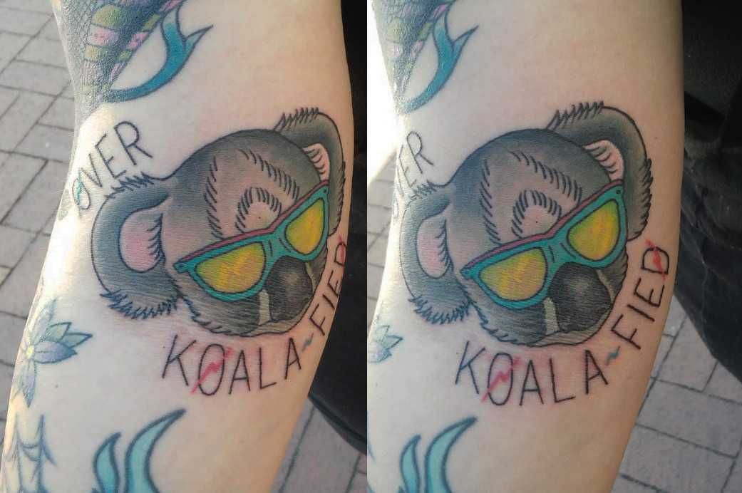 Funny-Over-Koalifed Funny Over Koalifed