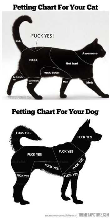 Funny-Petting-Chart Funny Petting Chart