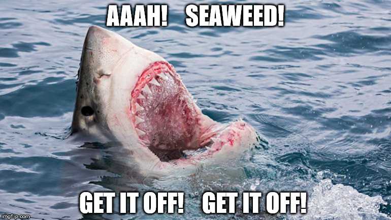 Funny Seaweed Off