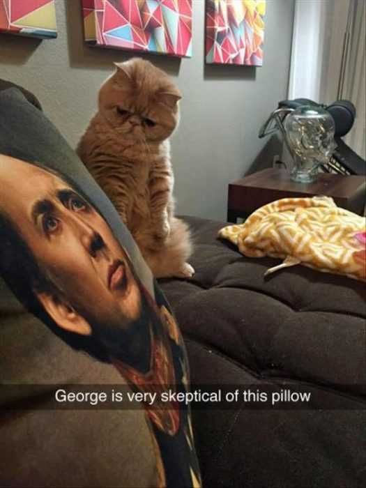 Funny-Skeptical-Pillow Funny Skeptical Pillow