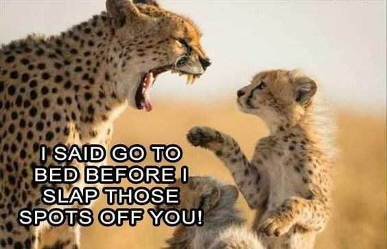 Funny Slap Spots