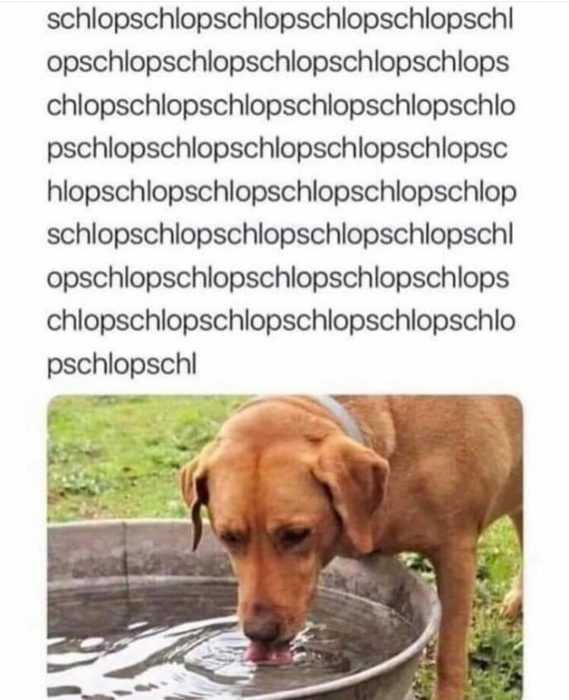 Funny Slurp Slurp