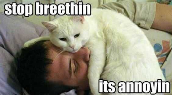 Funny-Stop-Breathing 27 Hilarious And Cute Animal Pictures Breathing Tickles