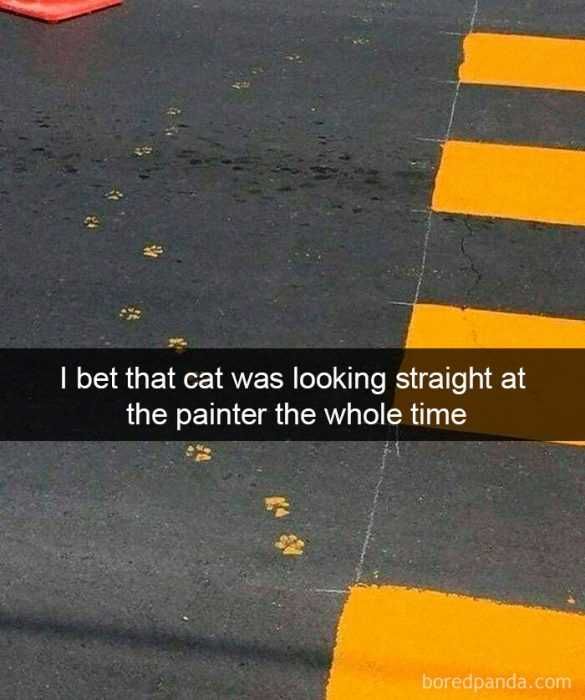 Funny-Straight-At Funny Straight At