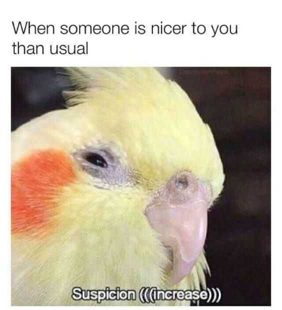 Funny-Suspicious Funny Suspicious