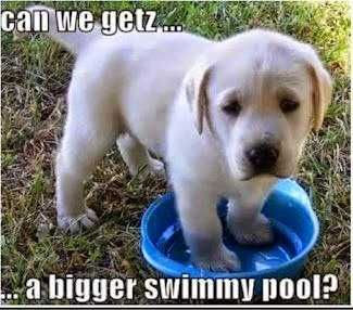 Funny-Swimming-Pool Funny Swimming Pool
