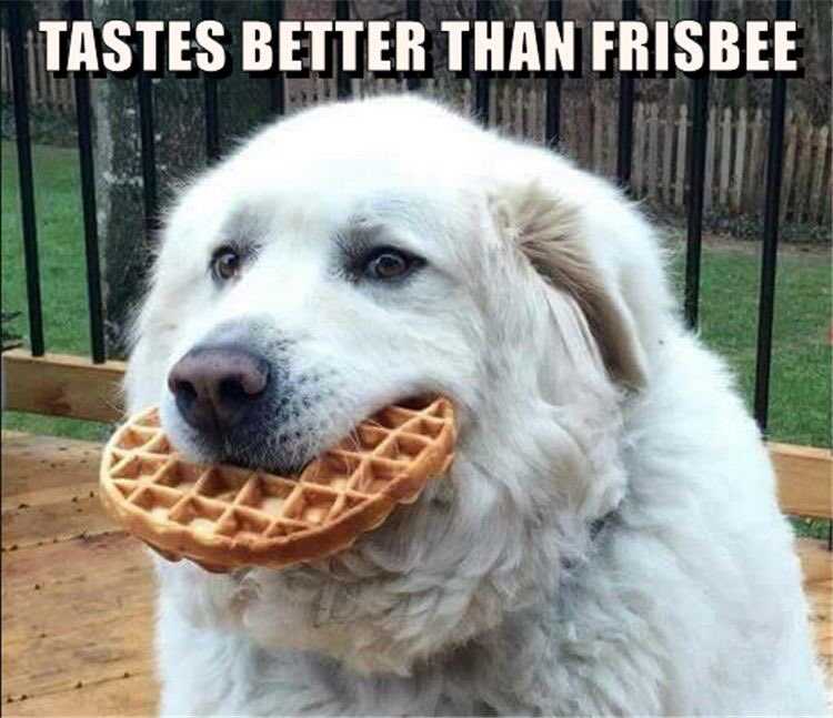 Funny Tastes Better