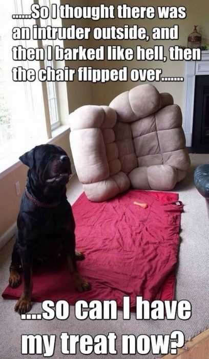 Funny-Thought-Intruder Funny Thought Intruder