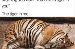 Funny Tiger In Me