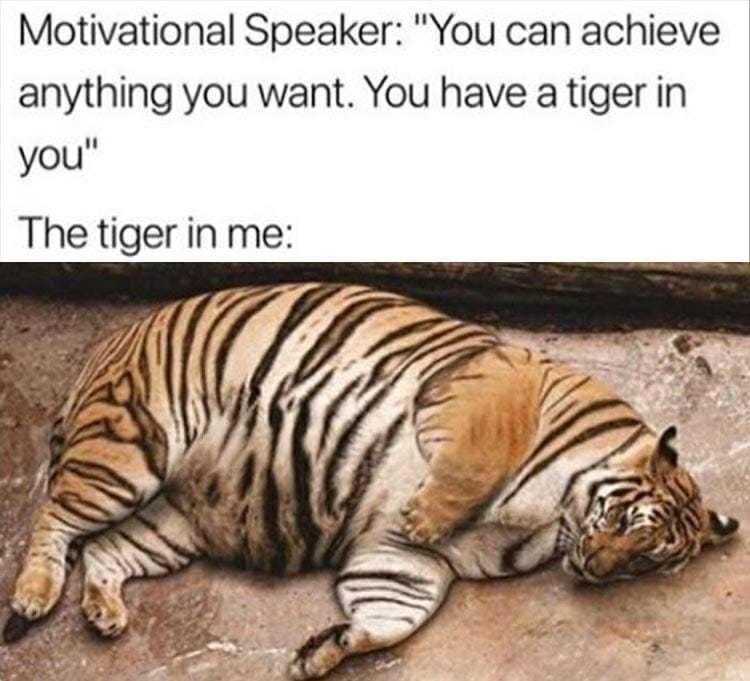 Funny-Tiger-In-Me Funny Tiger In Me