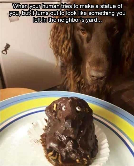Funny-Turns-Yard Funny Turns Yard