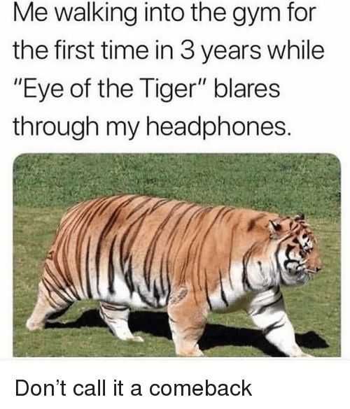 Funny-Walking-Into-Gym 27 Hilarious Cute Animal Pictures Your Inner Tiger