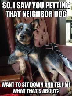 Funny Wanna Sit