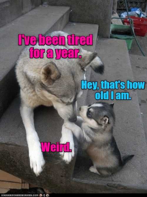 Funny-Weird Funny Weird