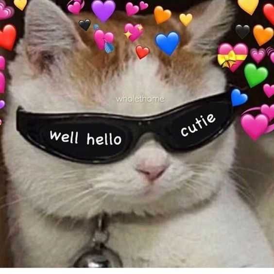Funny-Well-Hello Funny Well Hello