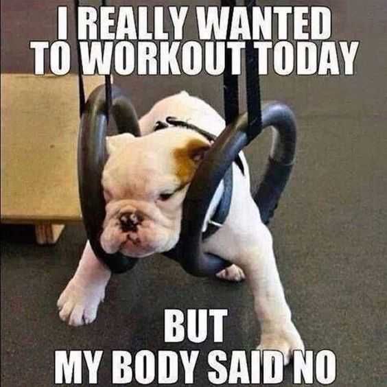 Funny-Work-Out-Say-No Funny Work Out Say No