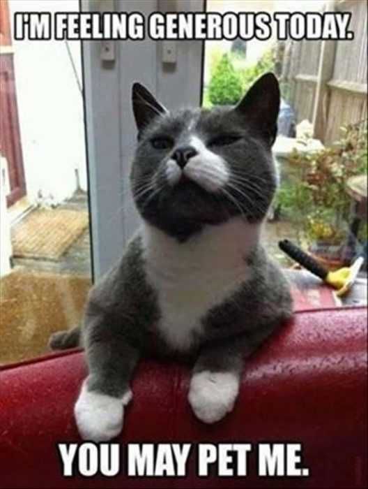 Funny-You-May-Pet Funny You May Pet