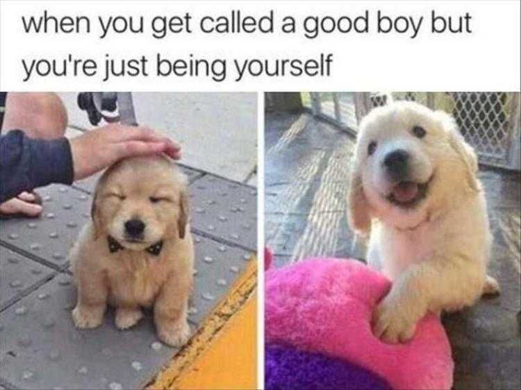 Funy-Being-Yourself Funy Being Yourself