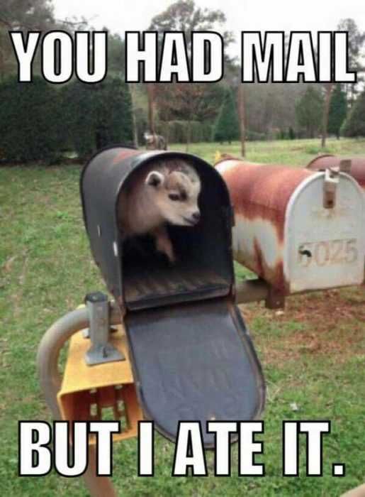Funy-Had-Mail Funy Had Mail