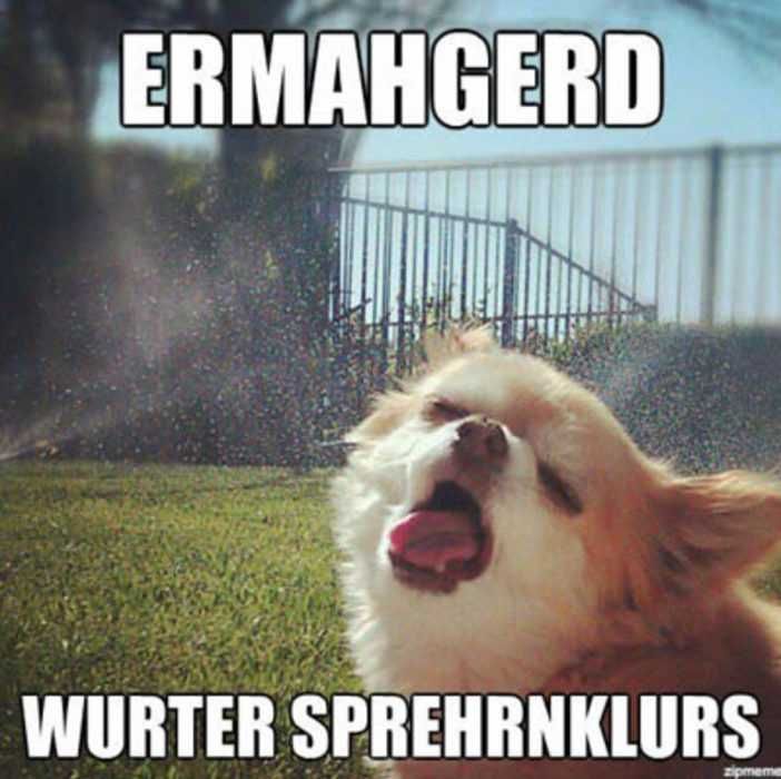 Funy-Water-Sprinklers Funy Water Sprinklers