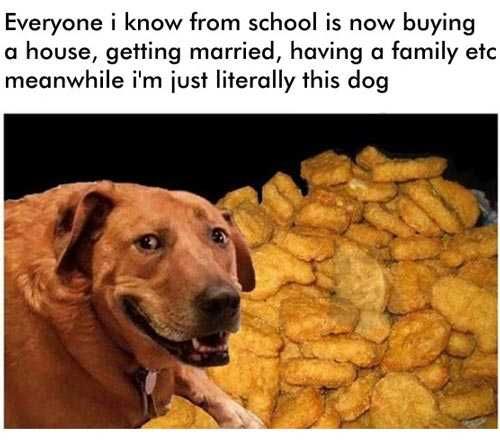 Literally-This-Dog Literally This Dog