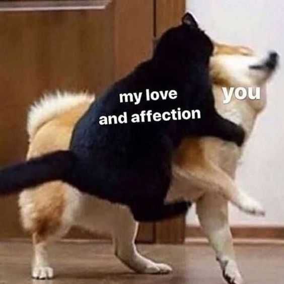 Love-Affection-You Love Affection You