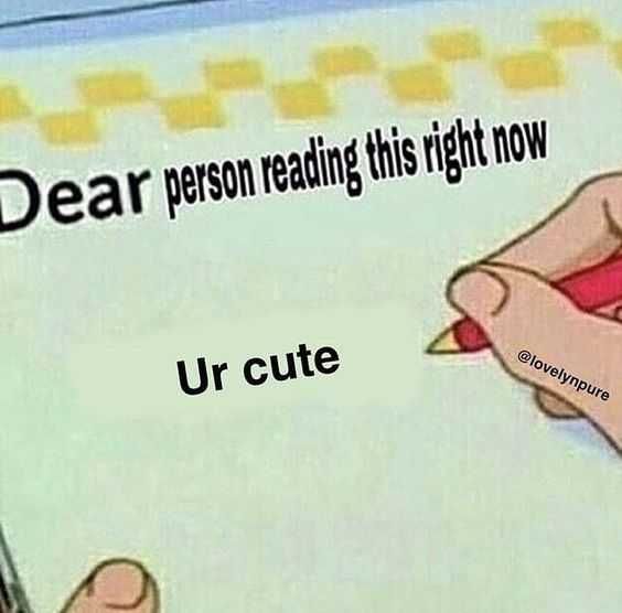 Love-Reading-This Love Reading This